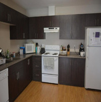 Looking for Spring term Sublet in Waterloo area!