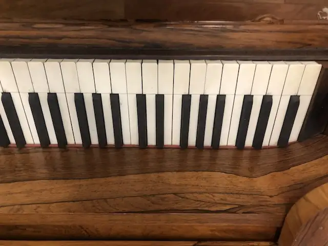 Chickering Grand Piano in Pianos & Keyboards in City of Montréal - Image 11