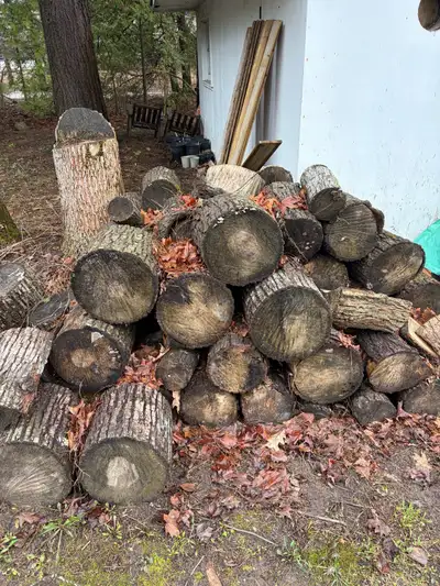 free campfire wood, View more