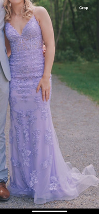 Prom Dress - Mint Condition