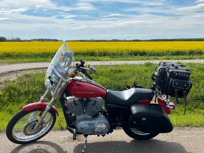 Selling my 2004 Sportster 883C. Comes with detachable windshield, detachable backrest/sissy bar, and...