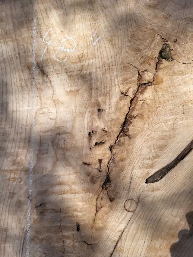 Various Live Edge Wooden Slabs in Other in Ottawa - Image 8