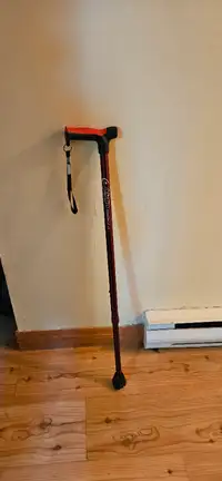 Cane for walking
