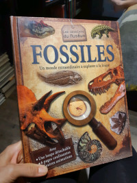 Livres sur les fossiles et les dinosaures