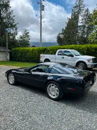 1994 corvette