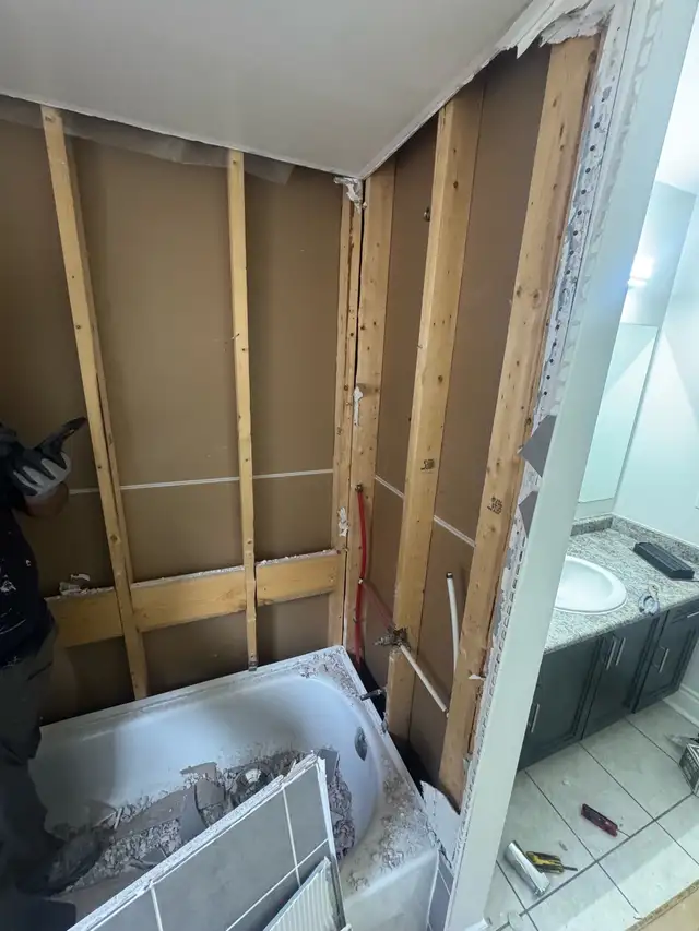 Bathroom renovation586009573579837443