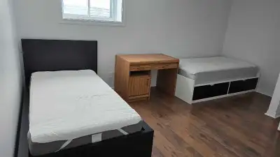 1 bedroom in basement with 2 beds. For 1 person $800. For 2 persons $900. Sharing bathroom and kitch...