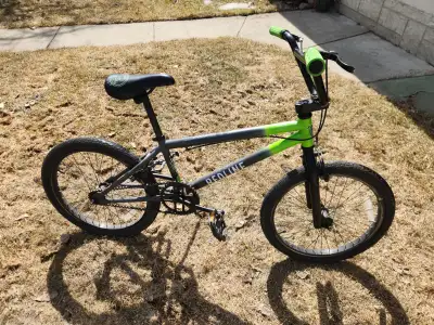 Redline Lieutenant BMX Bike, View more