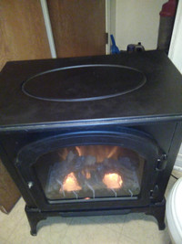 ELECTRIC FIREPLACE/ HEATER