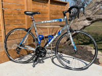 Trek Alpha 2.1 road bike Large frame MINT condition