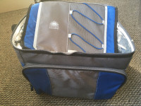 Cooler bag.