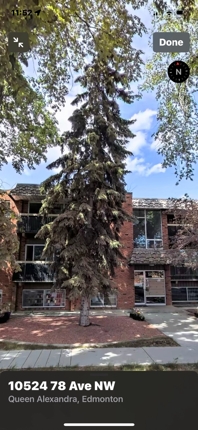 Queen Alexandra 10524 78th Ave. Large one bedroom with balcony.