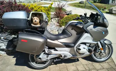 My lady needs a new home. We had numerous memorable days challenging the yellow line, a dozen or so...