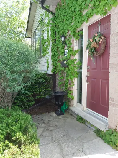 Nice house on a quiet street. This house has only 4 residents. Each housemate shares the kitchen and...