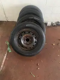Minerva tires