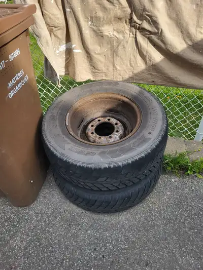 Pneu fini bon juste pour les rim