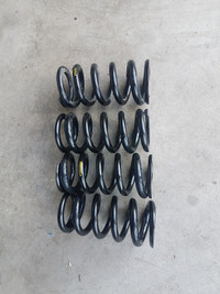 Tanabe Coilover springs stiff for going low