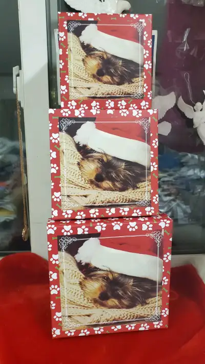 3   NEW PUPPY CHRISTMAS BOXES TO PUT TREATS IN ETC , View more