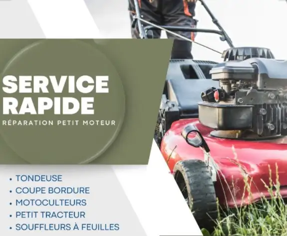 Fast Lawn Mower Repair Service - Call Mike!628632333546261227