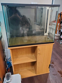 Fish tank (40 gallons)