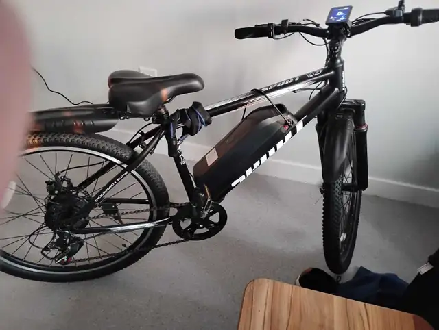 Electric bike 