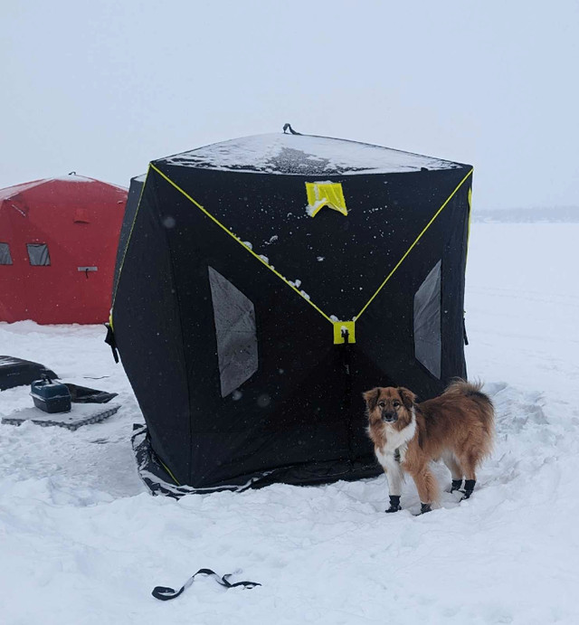 insulated ice fishing tent in Fishing, Camping & Outdoors in Edmonton