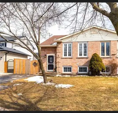 3 bed 1 bath house