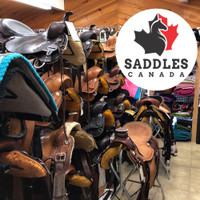 New & Used Western & English Saddles for Sale