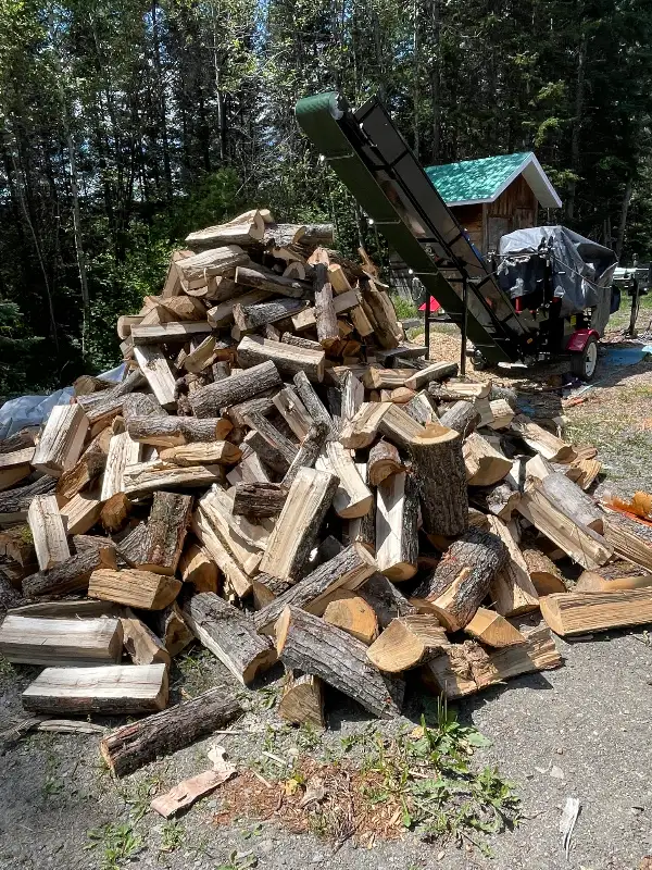Bois de chauffage in Fireplace & Firewood in Edmundston - Image 7