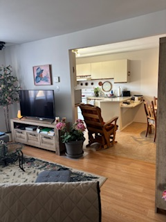 Grand 4-1/2 a louer secteur Fatima, Longueuil in Long Term Rentals in Longueuil / South Shore - Image 2