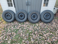 Motomaster Winter Tires on Rims