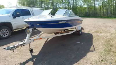 This is a great family/utility boat. Comes complete with trailer, paddles, anchor, fire extinguisher...