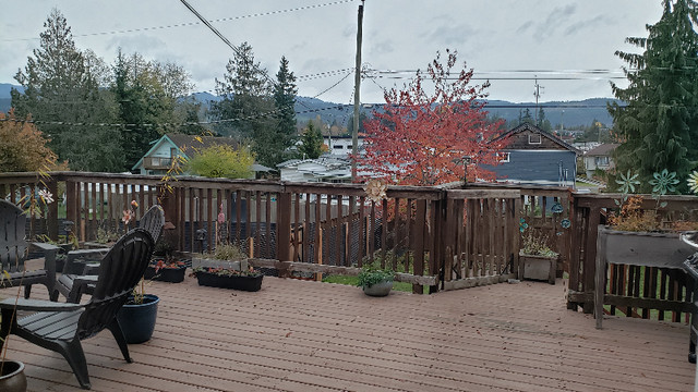 1bdr in Shared House in Cumberland in Room Rentals & Roommates in Comox / Courtenay / Cumberland - Image 3