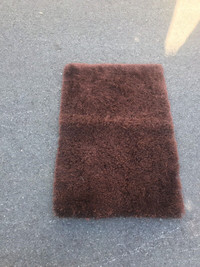 Area shag rug