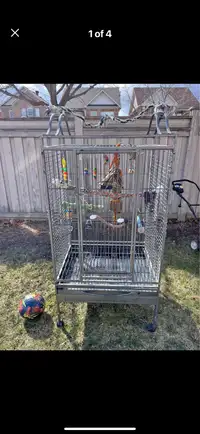Large parrot cage for African gray