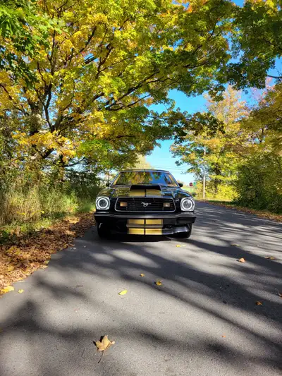 78 mustang coupe with a 351 Cleveland cobra jet, 4 bolts main. 5 speed with 355 gears posi track. Ev...