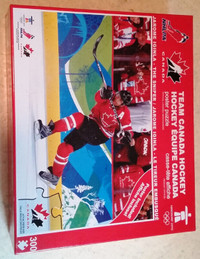 Jerome Iginla  team Canada Hockey poster 300 piece puzzleI
