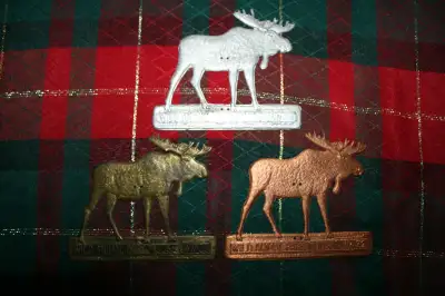 Moose Park Pass ( Licence Topper ) Collectors Item, View more