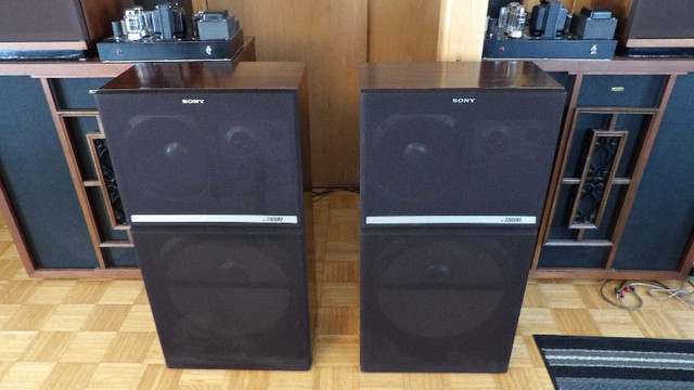 Sony SS-S1000WR speakers, CONSIDERING TRADES in Speakers in Gatineau