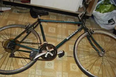 Kijiji bianchi sale