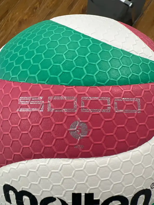 Molten Volleyball in Other in Markham / York Region - Image 4