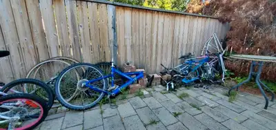 Hi. I'm a bike mechanic - brakes adjustments - gears tuning/adjustments - bleeding hydraulic brakes...