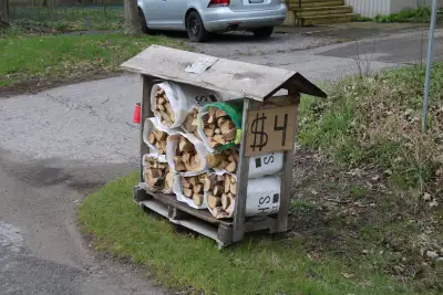 Firewood bundles for just $4! Each bundle would fill a blue recycling box, and contains some kindlin...