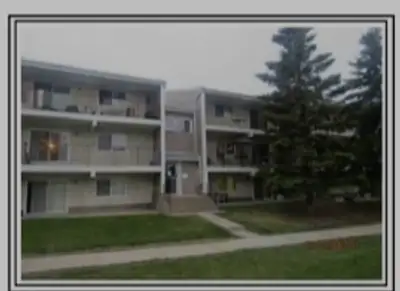 3 Bed Room Appartment for rent