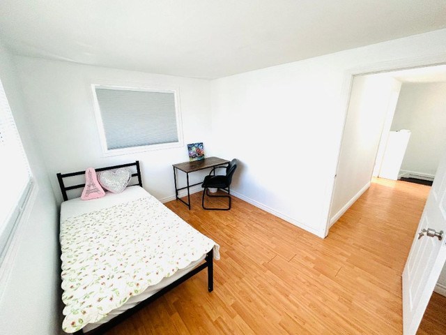 FURNISHED PRIVATE ROOM FOR RENT *Brand new bed,fridge.mattress in Room Rentals & Roommates in Windsor Region