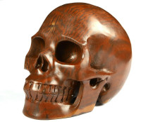 Huge 5.0" Australian Print Stone Skull! Hand carved, realistic.