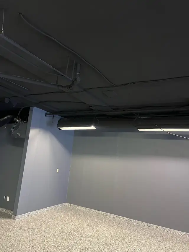 Professional Painter470945044492472323