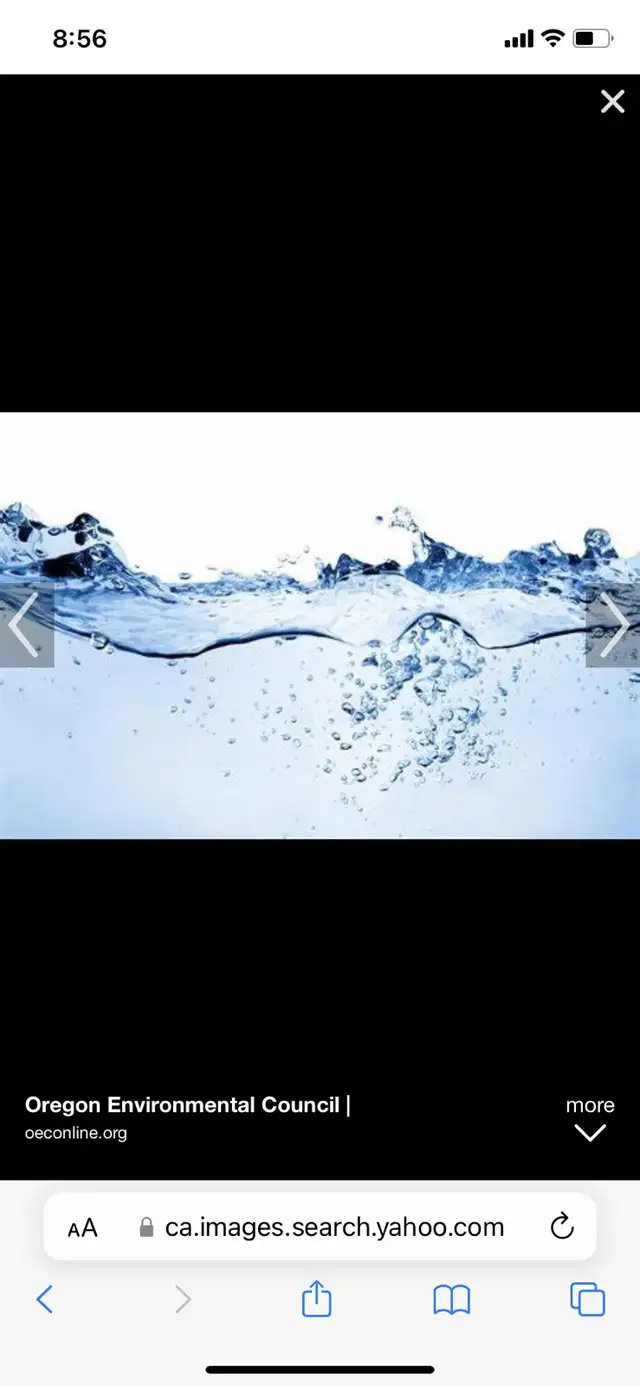 NEED A PLUMBER? CALL PAUL!64689494958850120