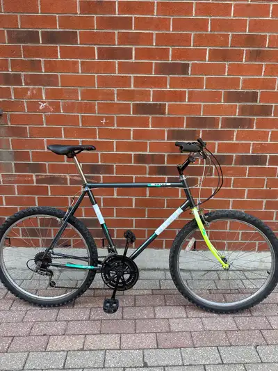 MEN SIZE LARGE VINTAGE RALEIGH GATOR UPRIGHT CITY MOUNTAIN BIKE, View more