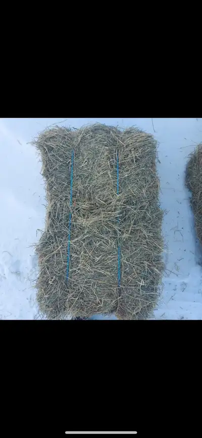 square bales of hay , View more